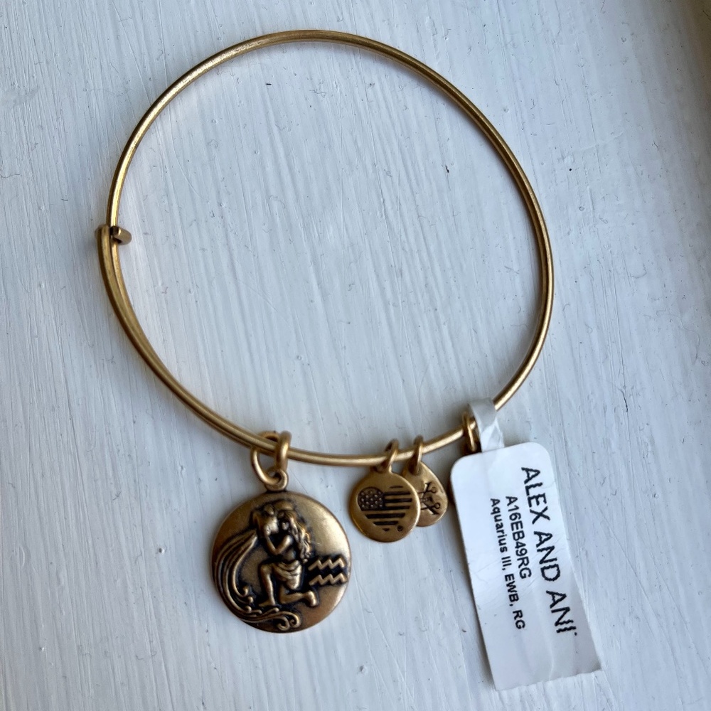 Alex and Ani Aquarius Bangle